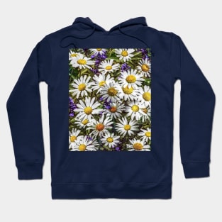 Daisies and Delphinium Hoodie